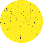 عن المنصة